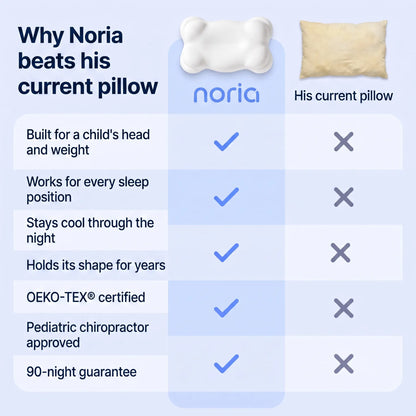 Noria ErgoSleep™ Pillow
